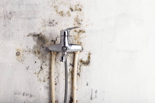 Idylwood, VA Mold Remediation Company